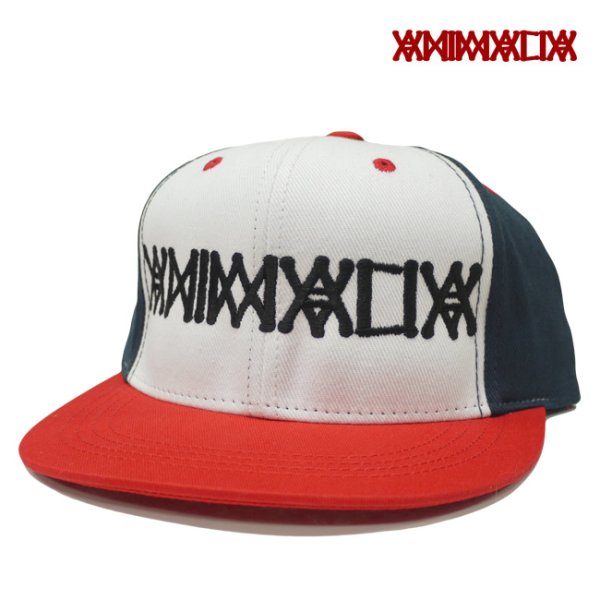 画像1: [ANIMALIA]-LOGO SNAP BACK CAP-TRICOLOR/BLACK- (1)