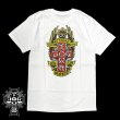 画像1: [DOGTOWN]-40th Anniversary Tee-WHT- (1)