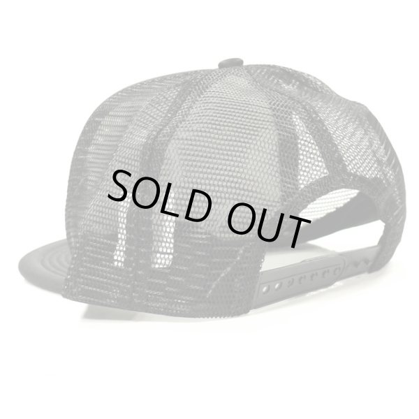 画像4: [DOGTOWN]-Ese' Script Mesh Cap- (4)