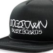 画像2: [DOGTOWN]-Ese' Script Mesh Cap- (2)