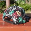 画像4: [DxAxM]-KLSSiC SNAP BACK CAP-BOTANiCAL- (4)