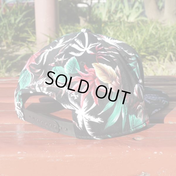 画像4: [DxAxM]-KLSSiC SNAP BACK CAP-BOTANiCAL- (4)