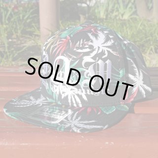 SNAP BACK CAP(スナップバックキャップ) - CRUCIAL（クルーシャル）