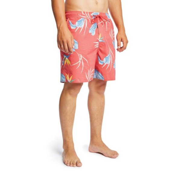 画像3: [BRIXTON]-HAVANA TRUNK-RDBLU- (3)