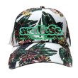 画像1: [seedleSs]-sd Hawaiian style low cap-WHITE- (1)