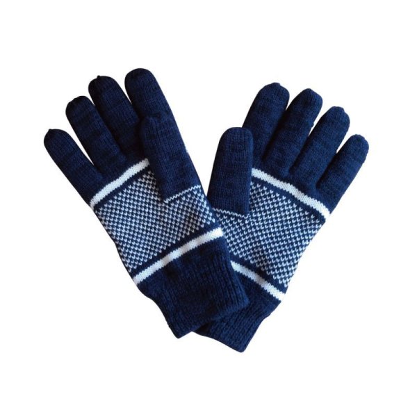 画像2: [seedleSs]-sd Thinsulate glove-NAVY- (2)