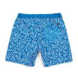 画像2: [BRIXTON]-STEADY ELASTIC WB SHORT-Royal/White- (2)