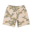 画像2: [BRIXTON]-STEADY X SHORT-Desert Camo- (2)