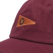 画像3: [STANCE]-STANDARD ADJUSTABLE CAP-REBEL ROSE- (3)