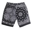 画像2: [DxAxM]-New BANDANA Shorts- (2)