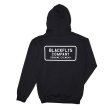 画像2: [BLACK FLYS]-MISSION HOODIE-BLACK- (2)