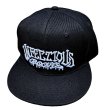 画像1: [INFECTIOUS GROOVES]-IG Embroidred SNAP BACK- (1)