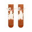 画像2: [STANCE]-GIZMO CREW- (2)